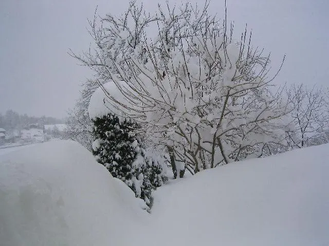 Felix Und Berta Pfeiffer-vogl *